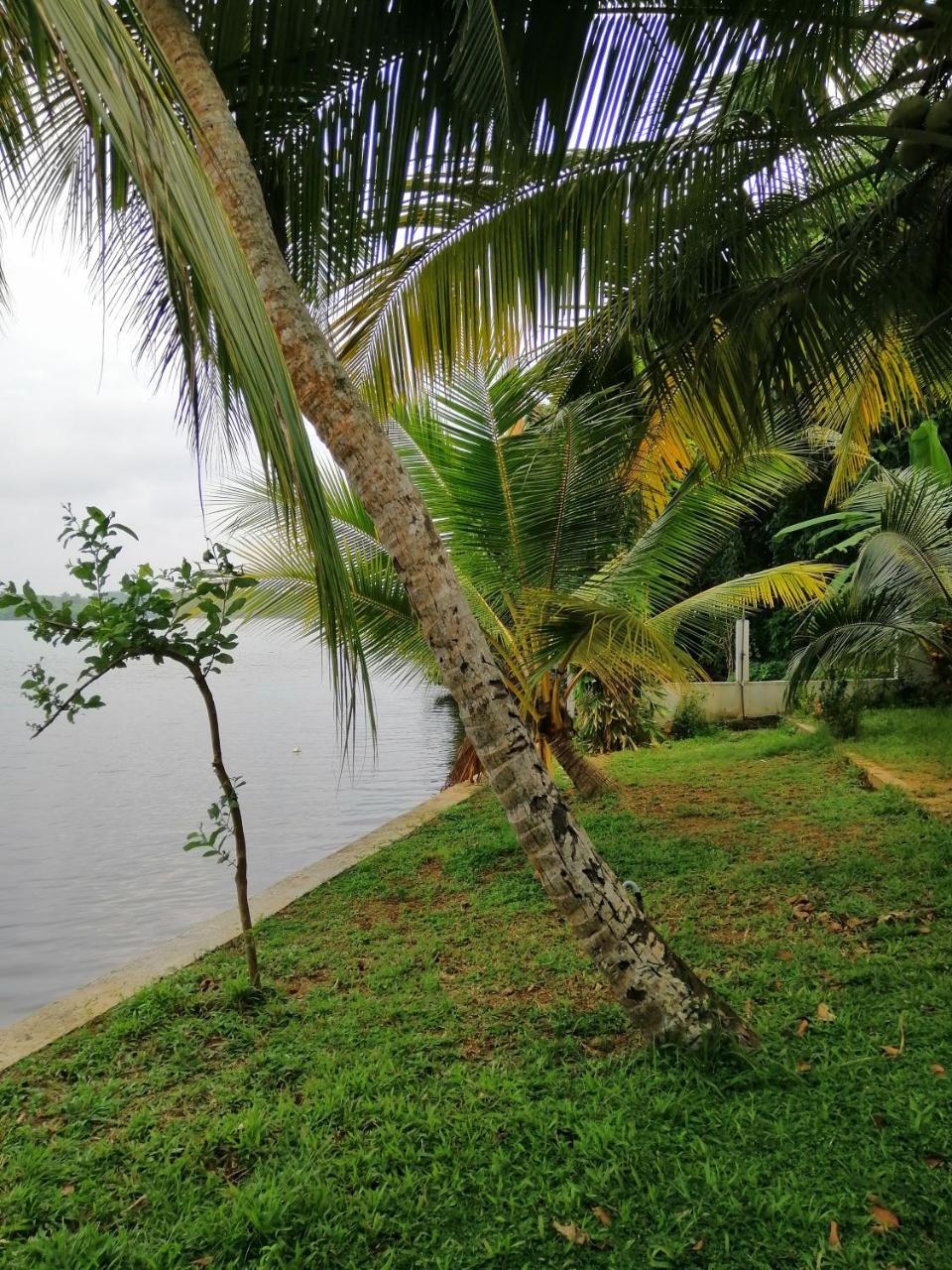 Hikka Lagoon Hikkaduwa Exterior foto